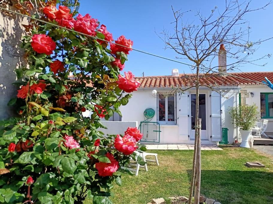 La Maison Du Marin Villa Saint-Gilles-Croix-de-Vie Esterno foto